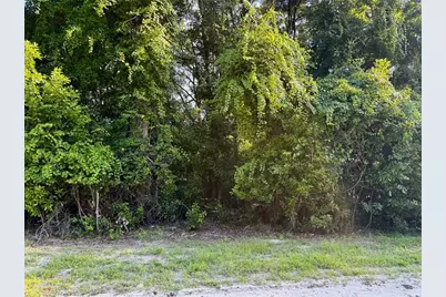 Sw Fox Place #Lots 38 & 39, Fort White, FL 32038 - Photo 15