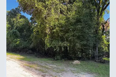 Sw Fox Place #Lots 38 & 39, Fort White, FL 32038 - Photo 7