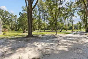 140 SW Spaulding Ct, Fort White, FL 32038 - Photo 43
