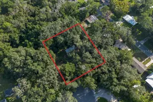 3234 NW 42nd Ave, Gainesville, FL 32605 - Photo 3