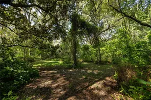 3234 NW 42nd Ave, Gainesville, FL 32605 - Photo 61