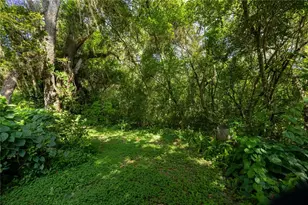 3234 NW 42nd Ave, Gainesville, FL 32605 - Photo 63