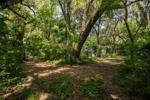 3234 NW 42nd Ave, Gainesville, FL 32605 - Photo 65