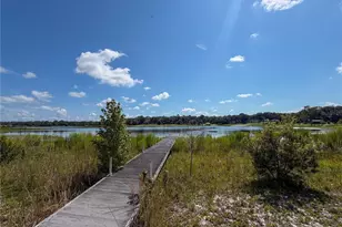 170 E Cowpen Lake Point Rd, Hawthorne, FL 32640 - Photo 3