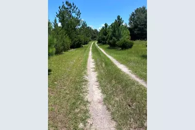 13270 NW 3rd Terrace, Trenton, FL 32693 - Photo 51