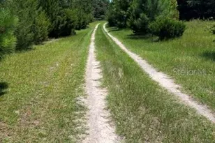 13270 NW 3rd Terrace, Trenton, FL 32693 - Photo 51