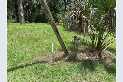 7455 NW 95th Street, Chiefland, FL 32626 - Photo 7