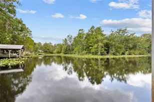 4190 NW 153rd Ct, Chiefland, FL 32626 - Photo 47