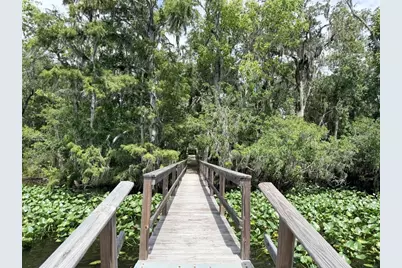 1957 SE 477 Avenue, Old Town, FL 32680 - Photo 27