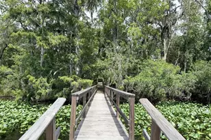 1957 SE 477th Ave, Old Town, FL 32680 - Photo 27