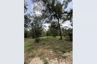 8431 NW 60 Avenue, Chiefland, FL 32626 - Photo 3