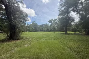8431 NW 60th Ave, Chiefland, FL 32626 - Photo 1