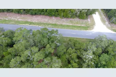 8431 NW 60 Avenue, Chiefland, FL 32626 - Photo 9