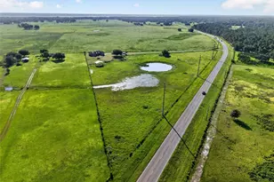 4027 N C 470, Lake Panasoffkee, FL 33538 - Photo 49