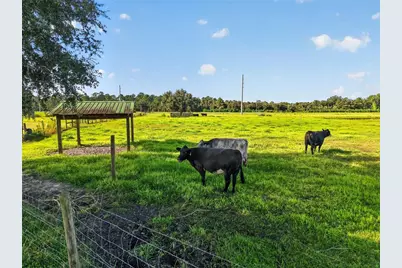 4027 N C 470, Lake Panasoffkee, FL 33538 - Photo 45