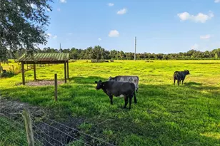 4027 N C 470, Lake Panasoffkee, FL 33538 - Photo 45