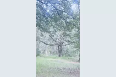 13983 NE 147th Terrace, Waldo, FL 32694 - Photo 15