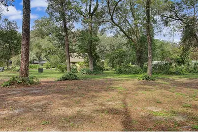295 SE 28th Street, Melrose, FL 32666 - Photo 77