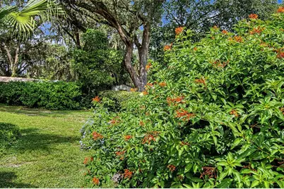 295 SE 28th Street, Melrose, FL 32666 - Photo 53