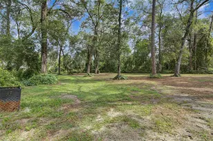 295 SE 28th St, Melrose, FL 32666 - Photo 75