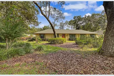 295 SE 28th Street, Melrose, FL 32666 - Photo 3