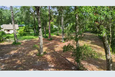 295 SE 28th Street, Melrose, FL 32666 - Photo 81