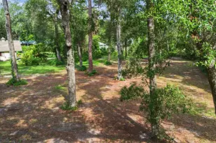 295 SE 28th St, Melrose, FL 32666 - Photo 81