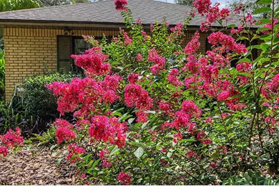 295 SE 28th Street, Melrose, FL 32666 - Photo 55