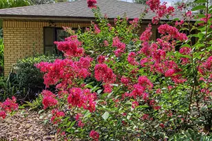 295 SE 28th St, Melrose, FL 32666 - Photo 55