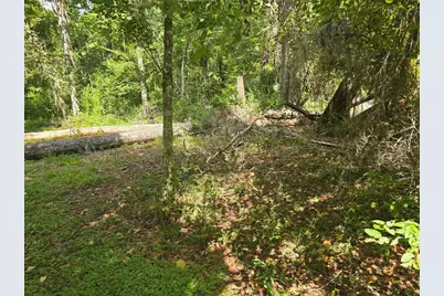 Tbd NW Spring Hollow Boulevard, Lake City, FL 32055 - Photo 3