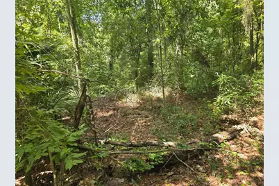Tbd NW Spring Hollow Boulevard, Lake City, FL 32055 - Photo 5
