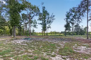 79 NE 91st St, Branford, FL 32008 - Photo 5