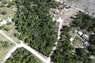 79 NE 91st St, Branford, FL 32008 - Photo 29