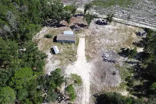 79 NE 91st St, Branford, FL 32008 - Photo 37
