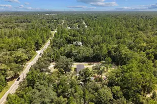 7650 NE 105th Ave, Bronson, FL 32621 - Photo 35