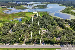 1837 State Road 20, Hawthorne, FL 32640 - Photo 25
