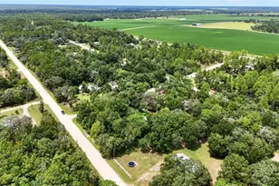 13691 NE 8 St, Williston, FL 32696 - Photo 51