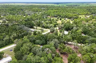 13691 NE 8 St, Williston, FL 32696 - Photo 57