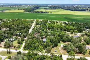 13691 NE 8 St, Williston, FL 32696 - Photo 55