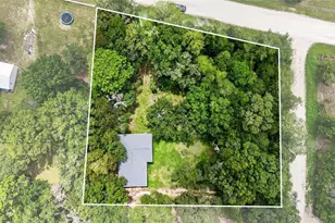 13691 NE 8 St, Williston, FL 32696 - Photo 3