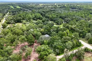13691 NE 8 St, Williston, FL 32696 - Photo 53