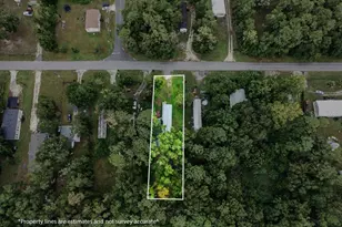 641 Marshburn Dr, Bronson, FL 32621 - Photo 25