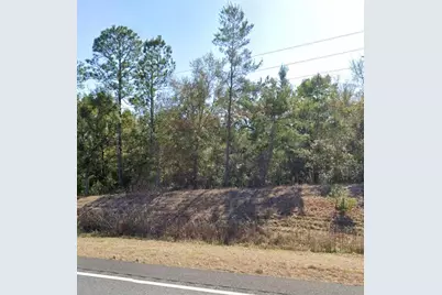 Tbd NE Hwy 27 Alt, Bronson, FL 32621 - Photo 3