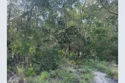 7946 N Neige Point, Crystal River, FL 34428 - Photo 5