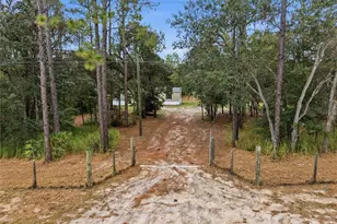 10931 NE 78th Ln, Bronson, FL 32621 - Photo 5