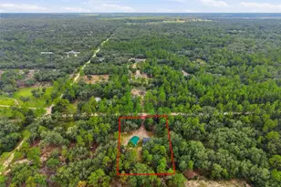 10931 NE 78th Ln, Bronson, FL 32621 - Photo 3