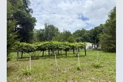 4760-A NW 55th Avenue, Bell, FL 32619 - Photo 13