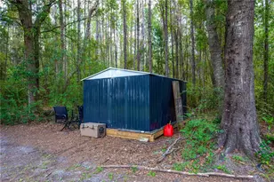 13328 NE 230th Ct, Raiford, FL 32083 - Photo 29