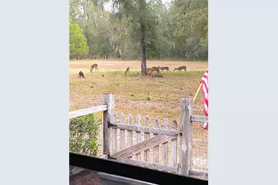28622 N State Road 121, Alachua, FL 32615 - Photo 33