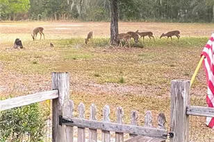 28622 N State Rd 121, Alachua, FL 32615 - Photo 33